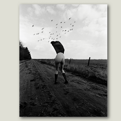 Boek Spell + editieprint She’s Afraid of Birds - Karel Fonteyne